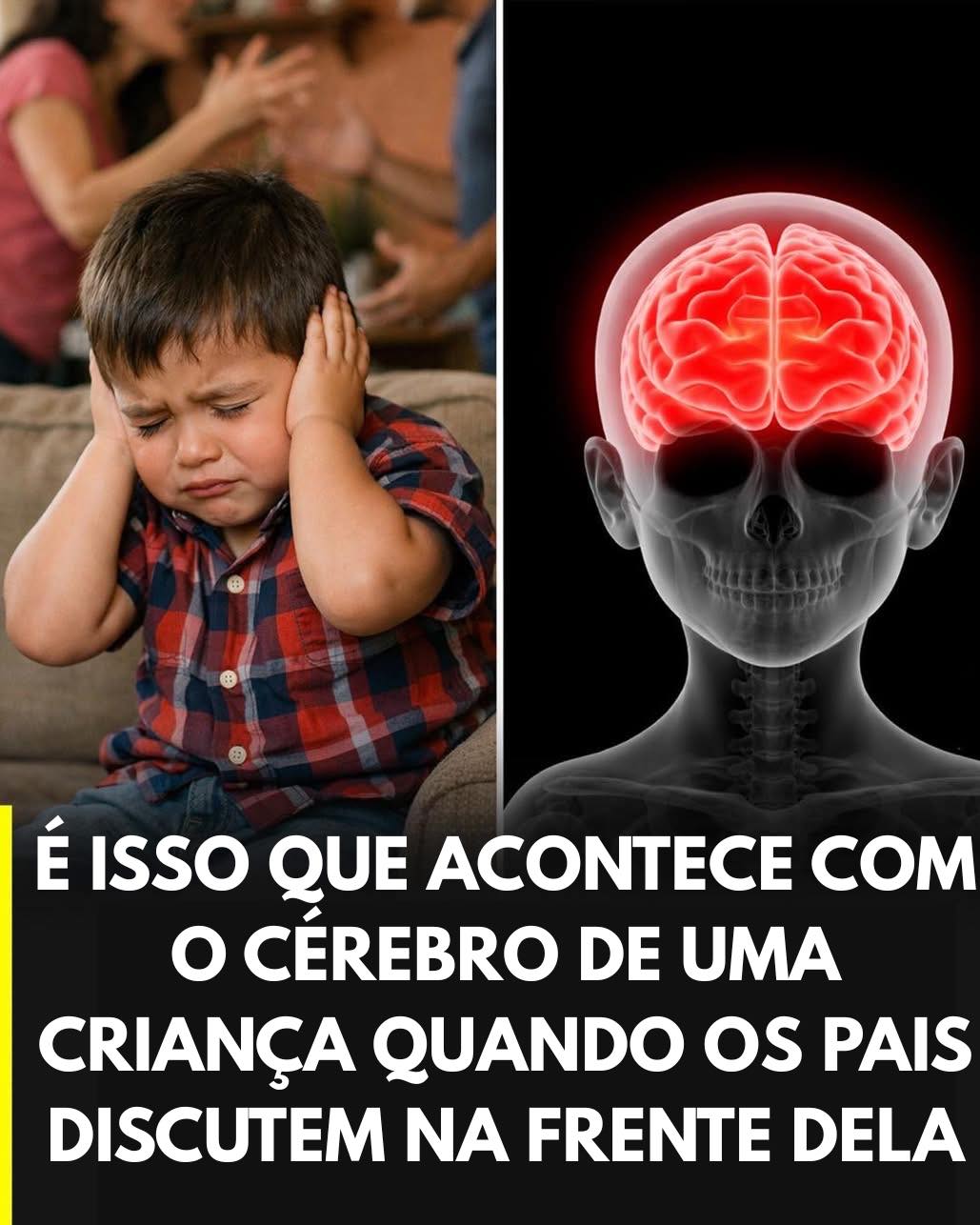 Discussões entre os pais podem alterar o cérebro das crianças desde os primeiros anos, alertam especialistas