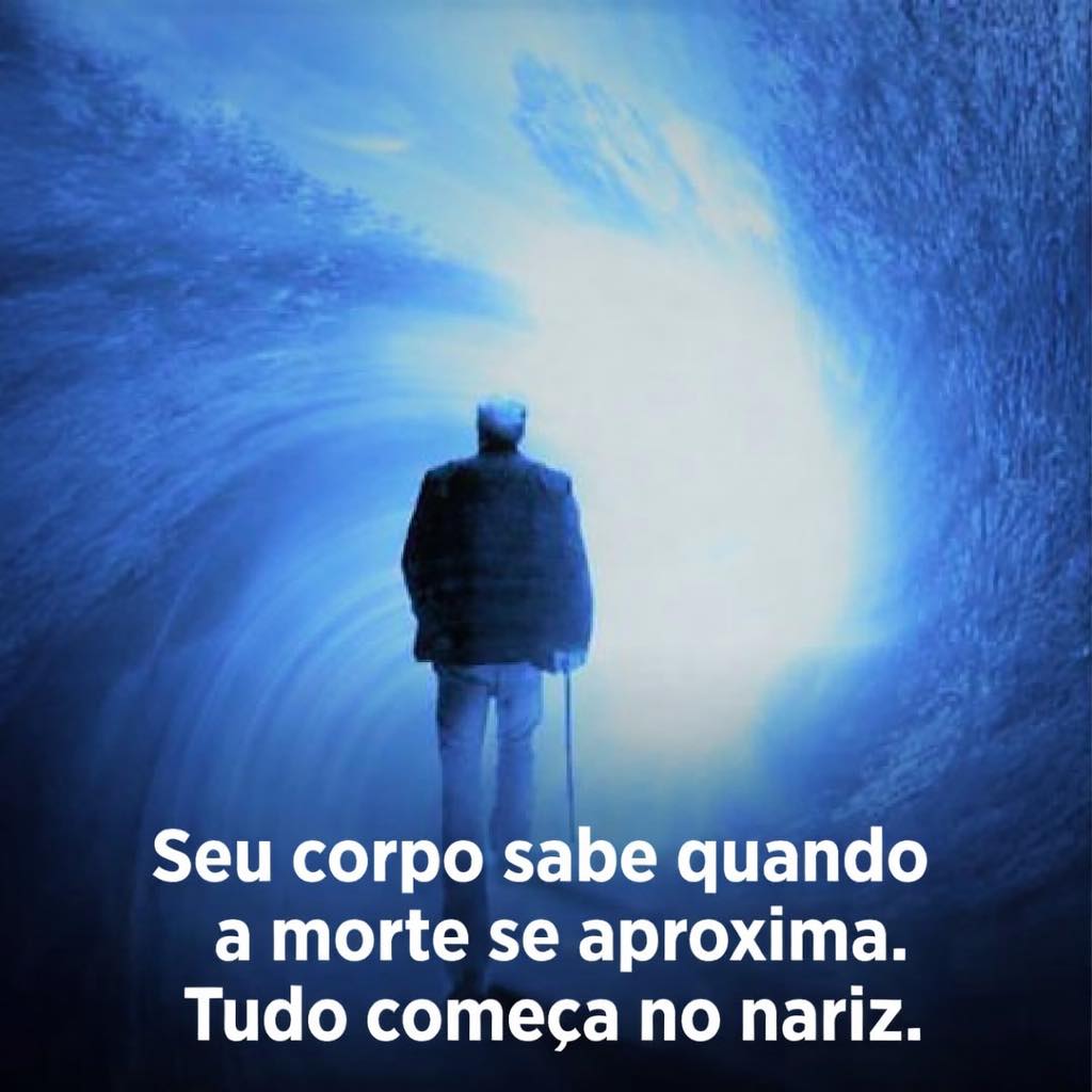 O corpo sabe quando a morte está próxima, e tudo começa pelo nariz