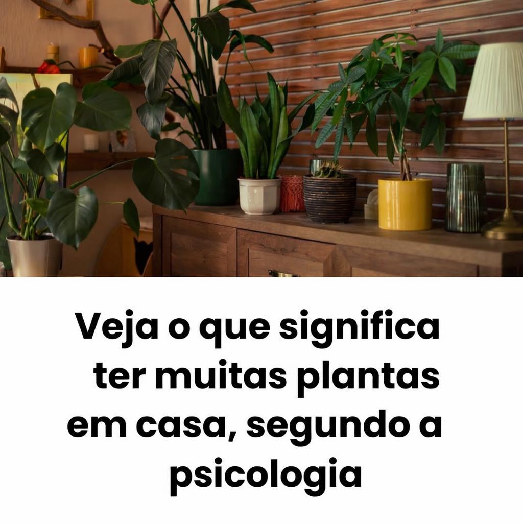 Segundo a psicologia, ter muitas plantas em casa quer dizer algo sobre a sua personalidade; saiba o quê