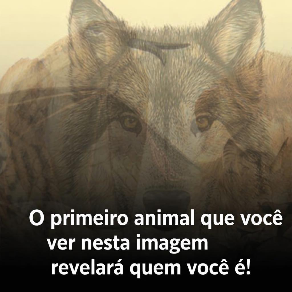 O primeiro animal que você vê revela traços da sua personalidade? Teste visual viraliza