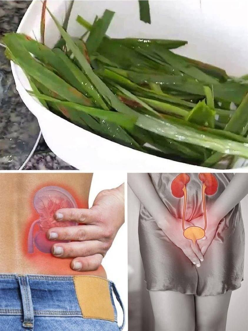 Você pesquisou por infecção urinaria - Incrível Receitas