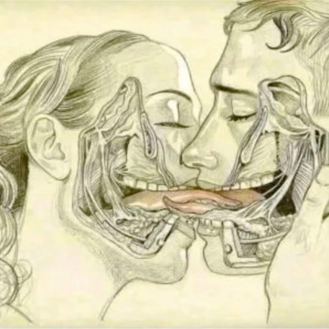 O que acontece no corpo (e na alma) quando a gente se beija?