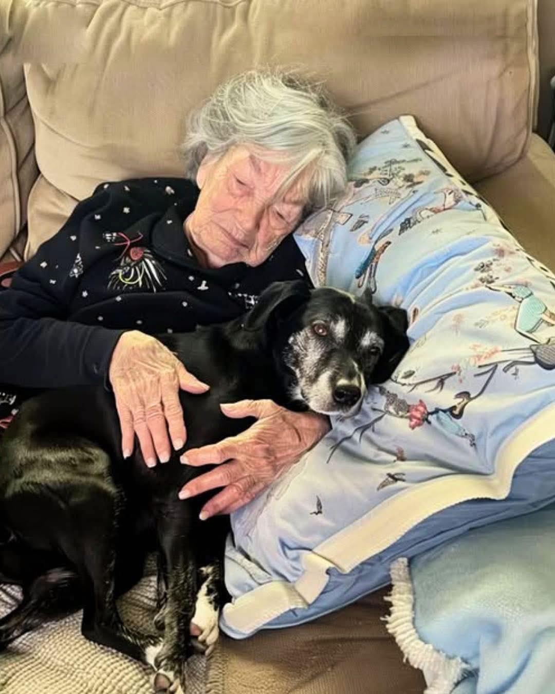 Fui a única a levar o cachorro da minha avó enquanto a família discutia a herança — e esse gesto acabou me revelando o segredo que ela havia deixado para mim