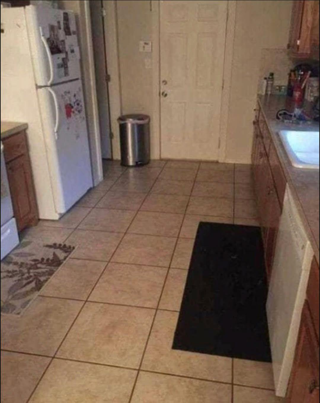 Este cachorro está escondido em plena cozinha e quase ninguém consegue enxergar
